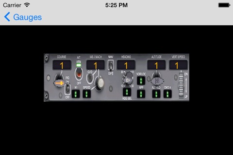 B737 Interactive Cockpit for FSX screenshot 2