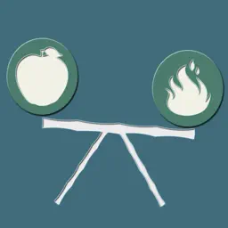 Calories Burned And Intake app icon