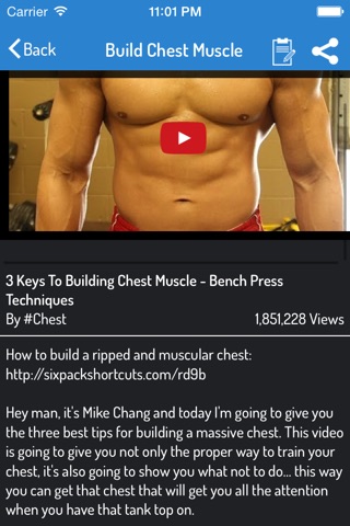 Muscles Building Guide screenshot 3