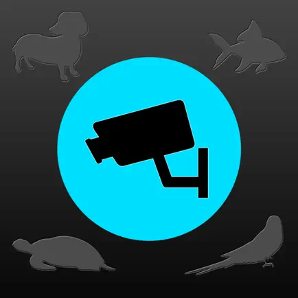 Observation Video ~ Let's record a sleeping posture of you! Читы