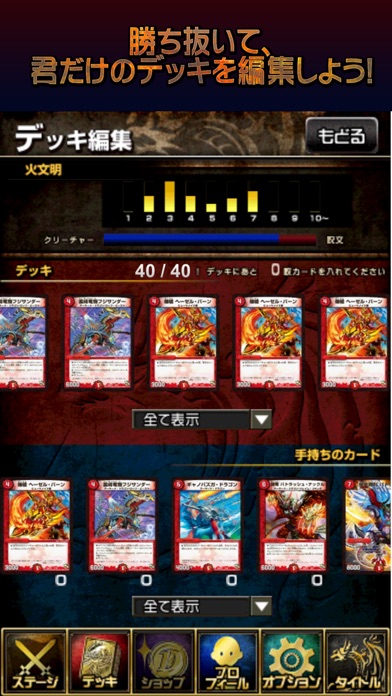 デュエル・マスターズ エントリーゲート オ... screenshot1