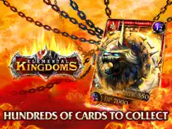 Elemental Kingdoms (CCG) iPad image 1
