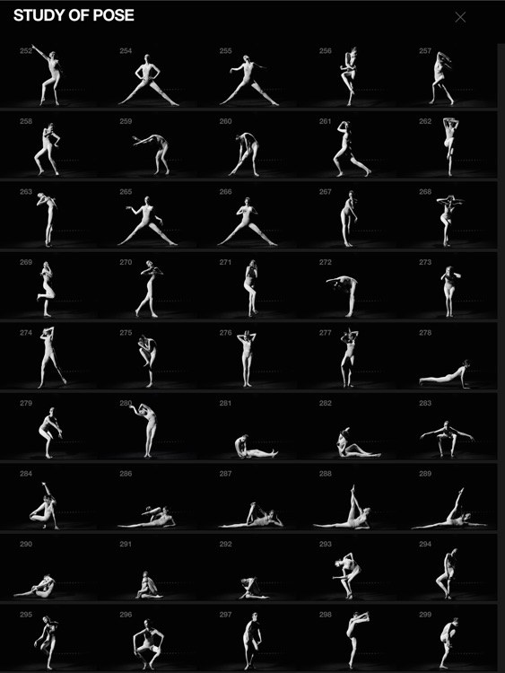 Study of Pose screenshot-0