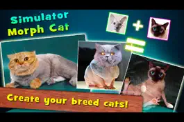 Game screenshot Simulator Morph Cat mod apk
