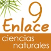 Vector Z | Enlace Ciencias Naturales 9