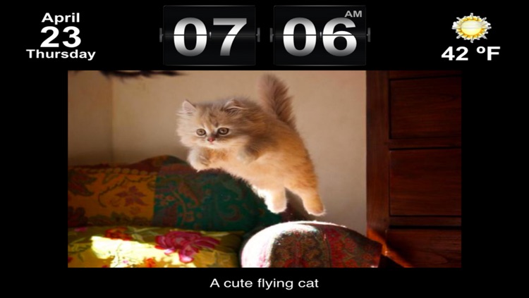 Cute Animal Pics Watch App - Fun pictures for children, young kids, and adults screenshot-4