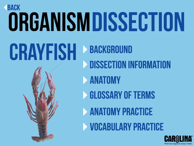 Organism Dissection