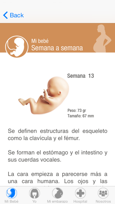 Screenshot #1 pour YO Embarazo Ribera Salud