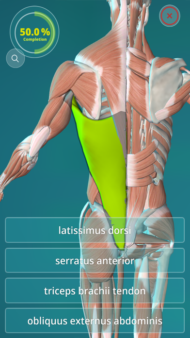 Screenshot #3 pour Anatomy Quiz - muscles and bones