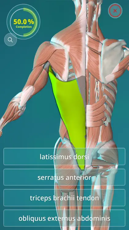 Screenshot 3 von 5 zu Anatomy Quiz - muscles and bones