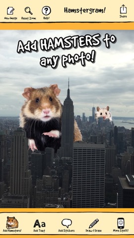 hamstergram - make people hamsters instantly and more!のおすすめ画像3