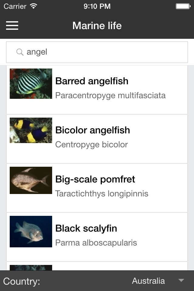 iPhone screenshot