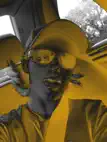 Pittsburgh Selfie Cam ipad bilder 3