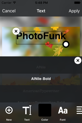 PhotoFunk screenshot 3