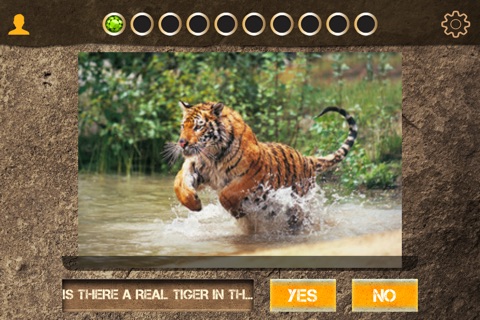 Wildsense Tigers - Help Track Wild Tigers screenshot 3