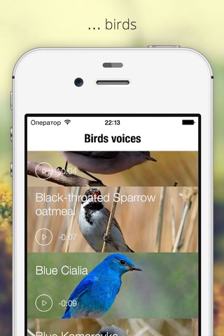 Голоса природы (аудио) screenshot 2