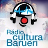 Cultura Barueri