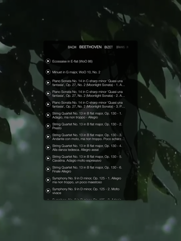 Screenshot #5 for Momentum ~ Greatest Pieces Of Classical Music with Backgrounds Inspired by Nature