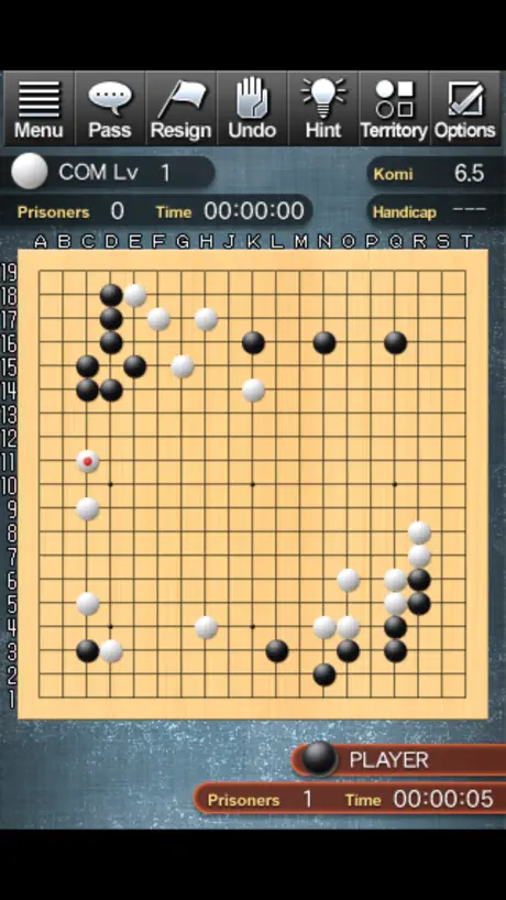 Champion Go Entry Edition