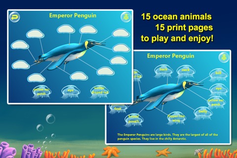 Amazing Ocean Animals- Educational Learning Apps for Kids Freeのおすすめ画像1