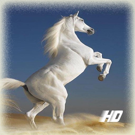 HD Wallpaper for Horse icon