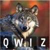 Qwiz Animaux icon