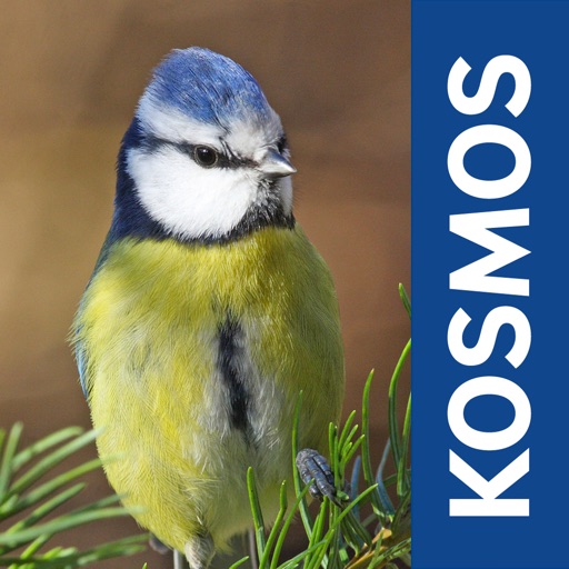 Gartenvögel Download