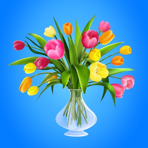 Buy Flowers iOS App