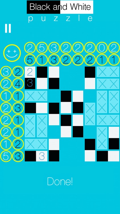 Black and White Puzzle
