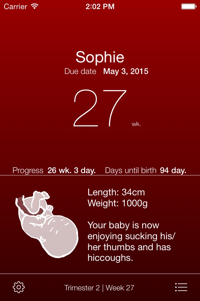 Pregnancy App screenshot 2