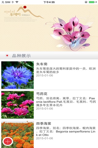 云南鲜花门户 screenshot 4