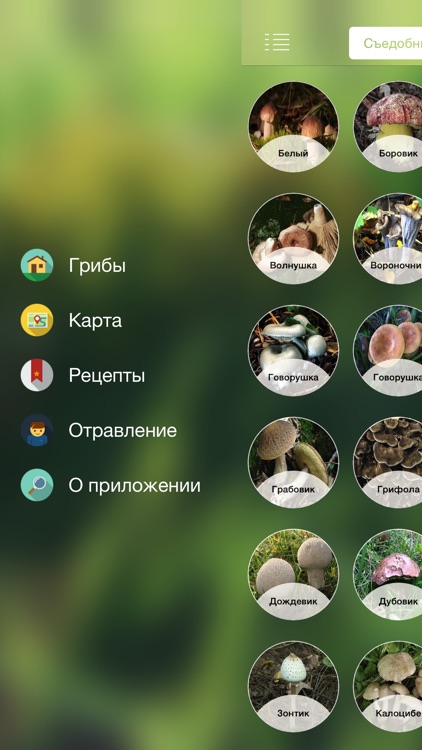 iГрибник - гид по русским лесам и справочник грибника screenshot-4