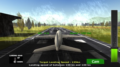 Screenshot #2 pour Atterrissage de l'avion - pilote l'avion