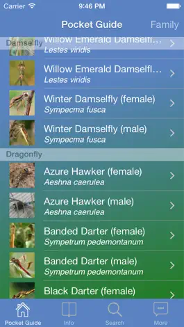Game screenshot Pocket Guide UK Dragonflies hack