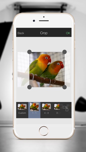 Photographer 2.0 - FREE(圖3)-速報App