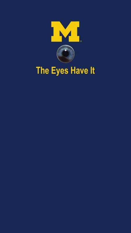 EyesHaveIt screenshot 1 of 5