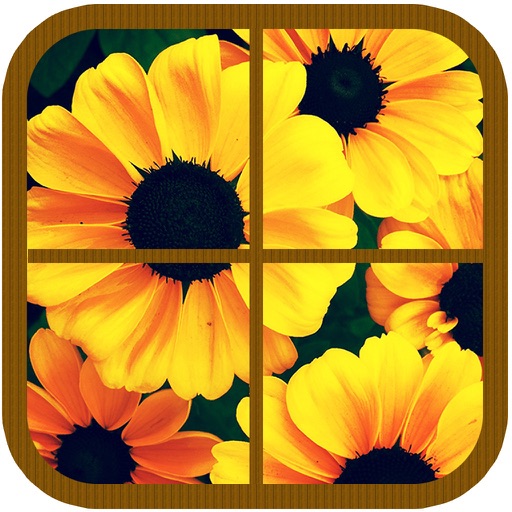 Puzzles Slider iOS App