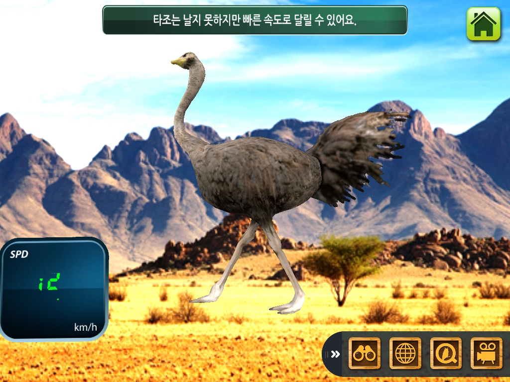블루래빗새 - Augmented Reality