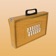 SrutiBox app icon - Music app for iPhone