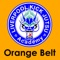 Orange Belt Kick Jutsu