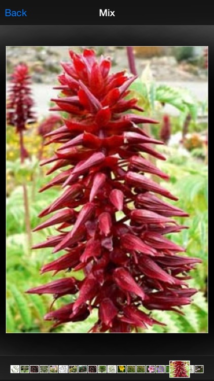 Herbalism screenshot-3