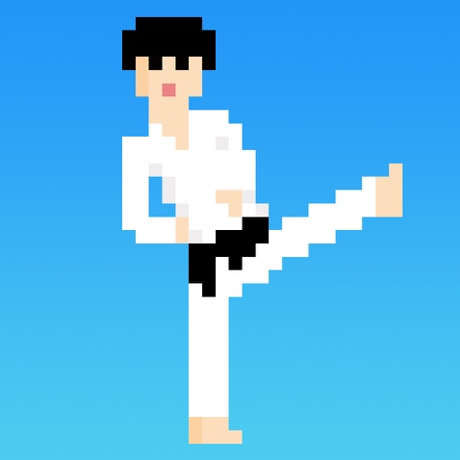 Kung Fu Kick Icon