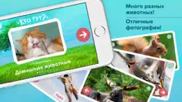 Кто тут? Учим животных вместе с детьми + развивающие карточки + звуки зверей детям бесплатно айфон картинки 1