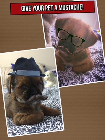 Screenshot #5 pour The Amazing Mustache Booth - A Funny Photo Editor with Hipster Stache, Manly Beards, and Cool Hairs