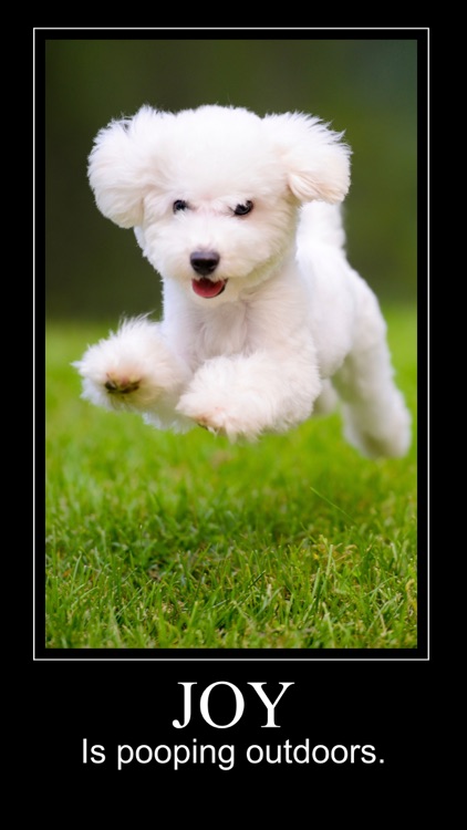 Motivational Poster