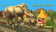 elephant simulator unlimited iphone screenshot 2