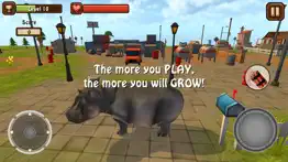 hippo simulator problems & solutions and troubleshooting guide - 3