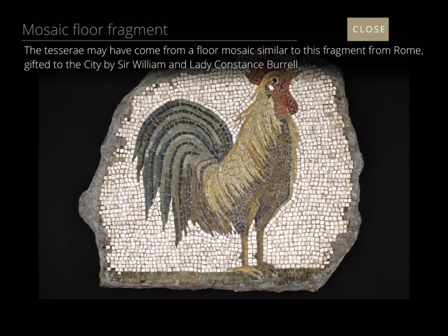 Kelvingrove Museum – An archaeology companion (KG Companion)(圖5)-速報App