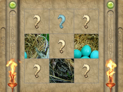 Screenshot #5 pour FlipPix Jigsaw - Nesting