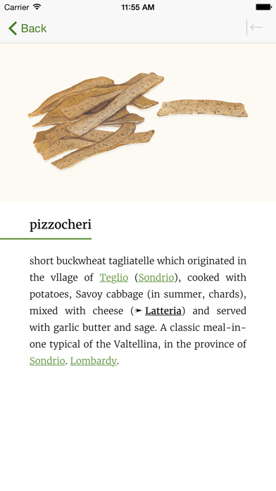 Italian Regional Cooking Dictionary Screenshot
